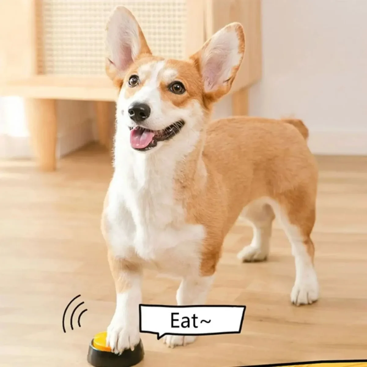 Botões de Comunicação para Cães - Imagem 3