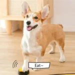 Botões de Comunicação para Cães - Imagem 3