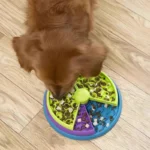 Alimentador Quebra-cabeça para Cães - Imagem 2
