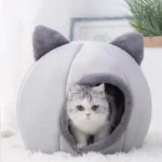 Casinha e Cama de Gato