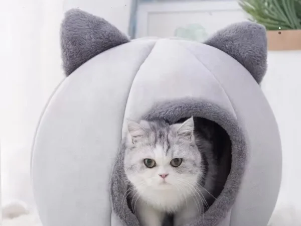 Casinha e Cama de Gato