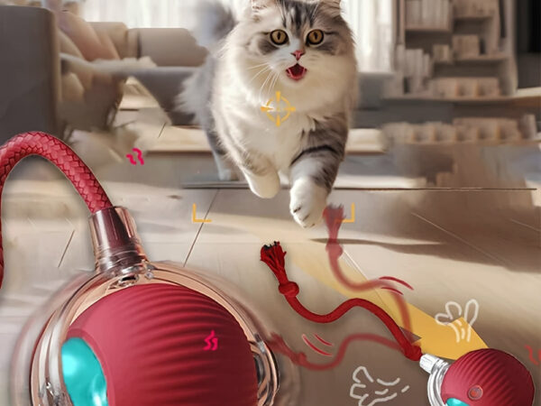 Bola Interativa para Gatos