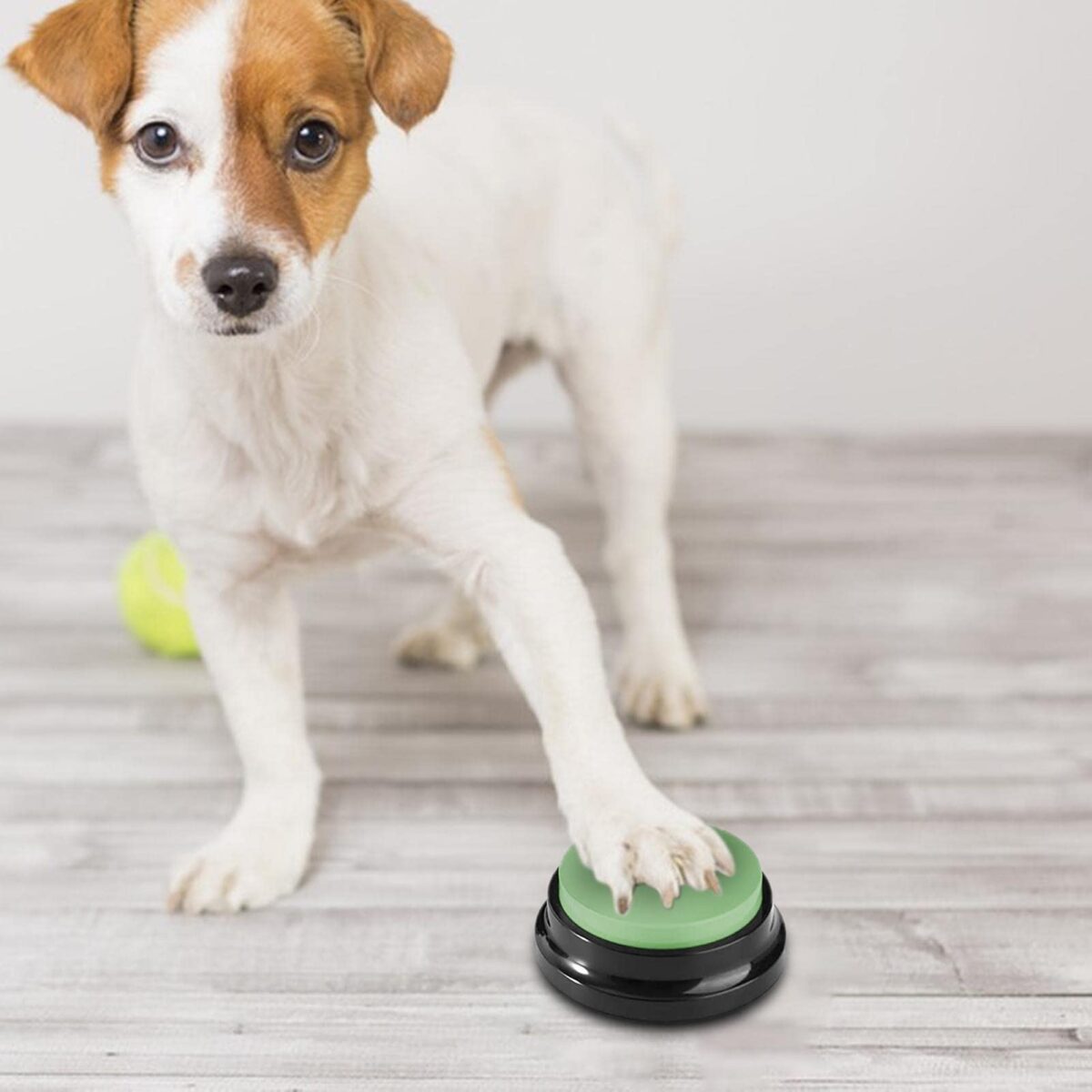 Botões de Comunicação para Cães - Imagem 1