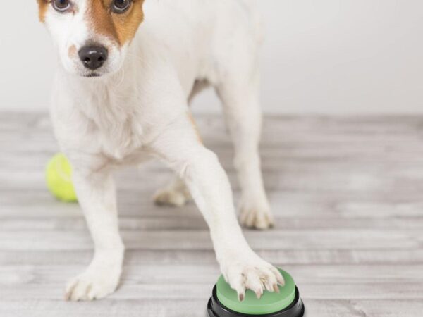 Botões de Comunicação para Cães